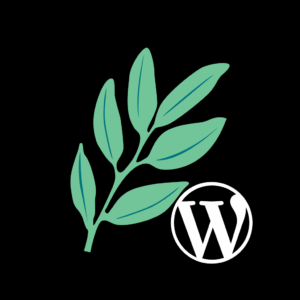 Services d'installation WordPress professionnels et sécurisés